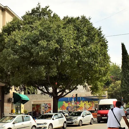 Galaxino Daire Split