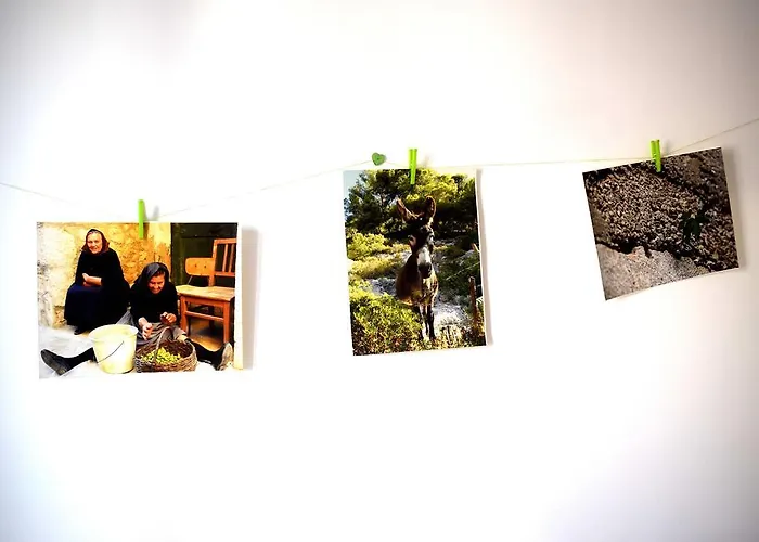 Galaxino شقة سبليت